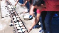 Wakil Bupati Bombana Dukung Festival Bakar Ikan Nusantara