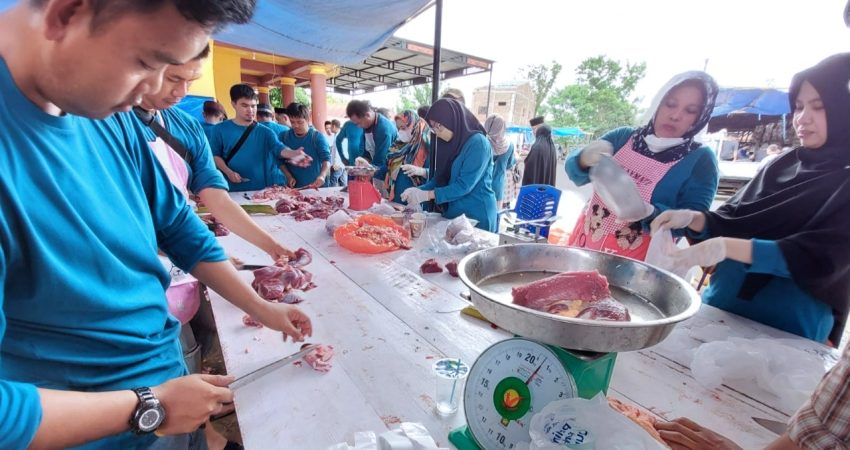 Maknai Idul Adha 2022, Pelindo Regional 4 Berkurban 53 Ekor Sapi