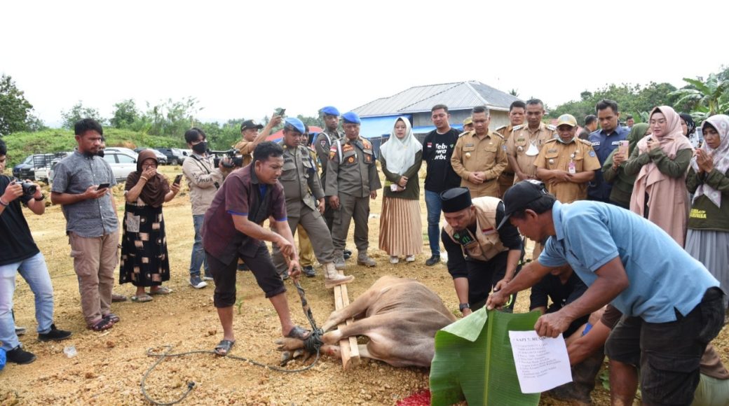 Pemkot Kendari Qurban 3 Ekor Sapi, Dibagikan ke Petugas Kebersihan dan Honorer