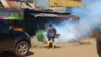 Tekan Penularan DBD, Dinkes Kolaka Gencar Bagikan Abate dan Lakukan Fogging