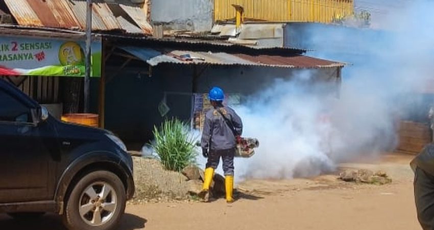 Tekan Penularan DBD, Dinkes Kolaka Gencar Bagikan Abate dan Lakukan Fogging