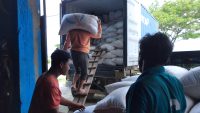Perusahaan Naungan Kadin Sultra Ekspor Puluhan Ton Jagung