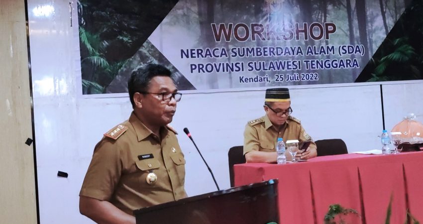 Workshop Neraca SDA Untuk Pembangunan Keberlanjutan Sulawesi Tenggara