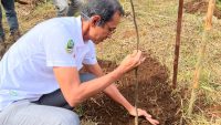 Buktikan Komitmen Keberlanjutan, PT Vale Andil Rehabilitasi DAS di Jawa Barat