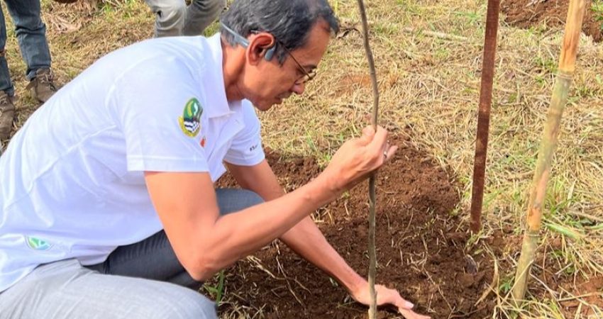 Buktikan Komitmen Keberlanjutan, PT Vale Andil Rehabilitasi DAS di Jawa Barat