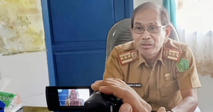 DLH Konawe Siapkan Dua Ribu Pohon Pengganti Trambesi