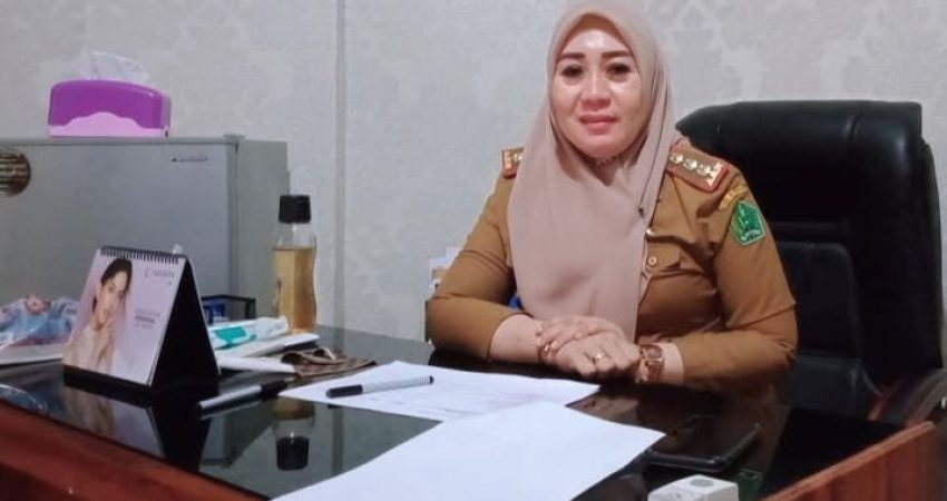 Tahun Depan PAD PPJ Konawe Dihilangkan