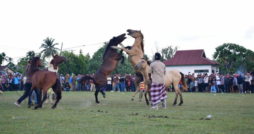 Festival Budaya Kaseiseha Witeno Wuna: Masyarakat Beradat dan Berbudaya