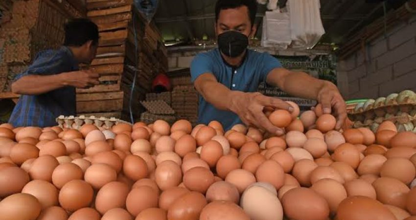 Si Bulat Naik Lagi, Rakyat Gigit Jari