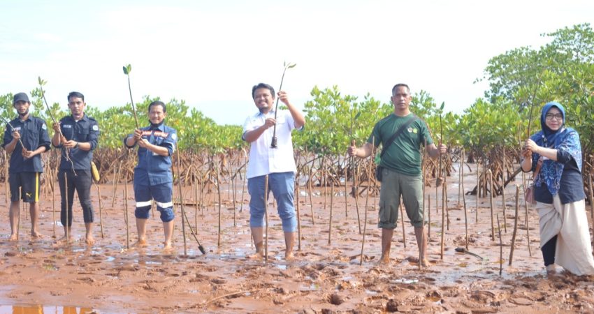 ANTAM dan KAPAL Kolaka Gelar Workshop Keanekaragaman Hayati