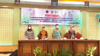 Kader Stunting Dan Nakes Tingkat Kabupaten Kolaka Ikuti Pelatihan