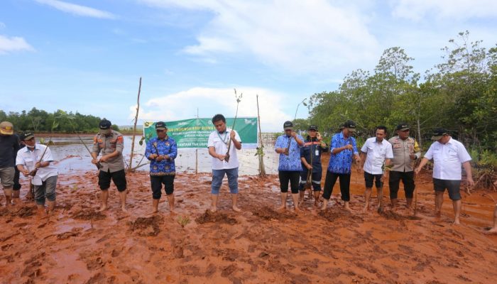 DLH Kolaka Dukung Program Penanaman Mangrove ANTAM di Pomalaa