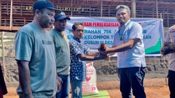 ANTAM Serahkan 756 Ekor Bibit Ayam Petelur untuk Peternak Tambea
