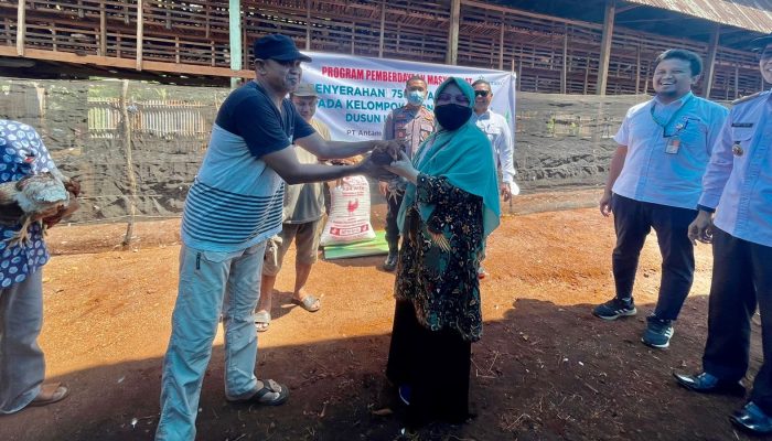 ANTAM Serahkan 756 Ekor Bibit Ayam Petelur untuk Peternak Tambea