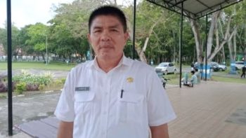 Disnakeswan Konawe Imbau Peternak Sapi PO Selalu Berkoordinasi