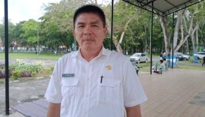 Disnakeswan Konawe Imbau Peternak Sapi PO Selalu Berkoordinasi