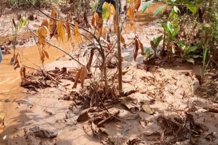 Warga Kecamatan Baru Putih Keluhkan Lahannya Tertimbun Lumpur Tambang PT KTR
