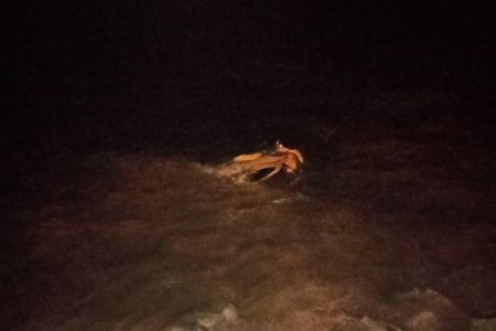 Truk Terjun ke Laut, Sopir Pengangkut Ore di Jety PT Akar Tewas