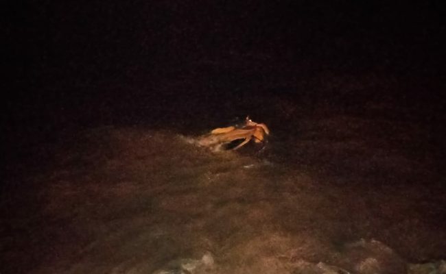 Truk Terjun ke Laut, Sopir Pengangkut Ore di Jety PT Akar Tewas