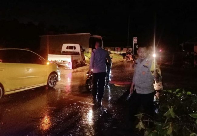 Akibat Angin Kencang, Warga Konsel Meninggal di Konawe