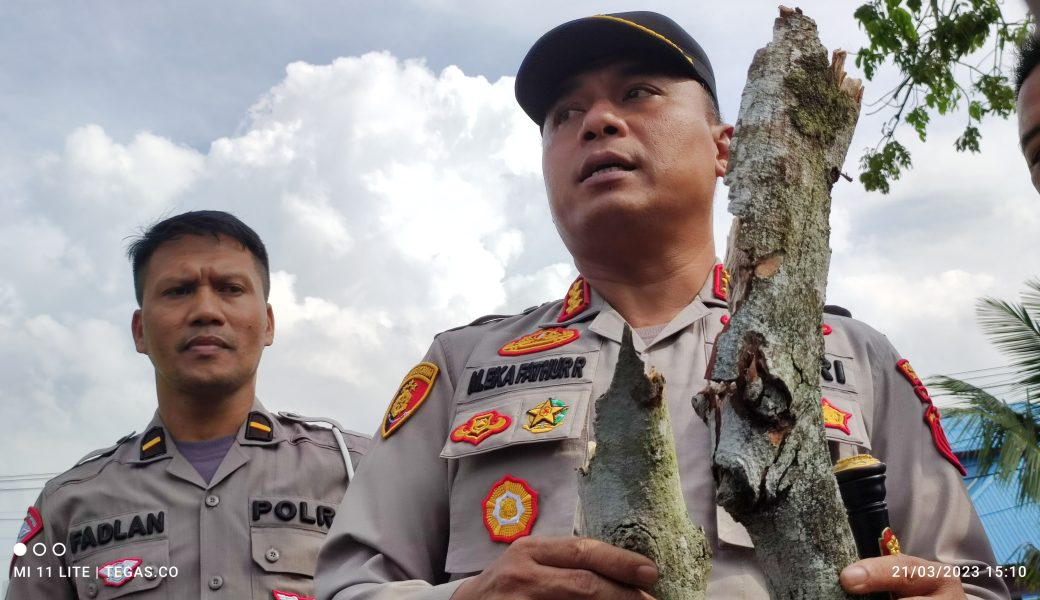 Berita Foto: Dua Ranting Kayu BB Tewasnya Pelajar Kesehatan di Kendari