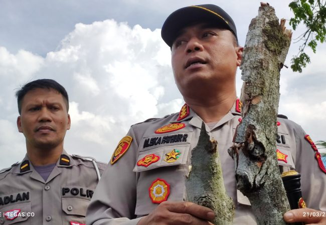 Berita Foto: Dua Ranting Kayu BB Tewasnya Pelajar Kesehatan di Kendari