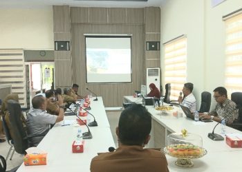 DPMPTSP Sultra