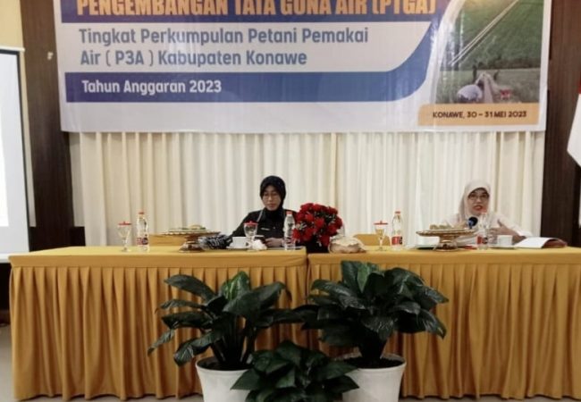 PUPR Konawe Gelar Seminar Pengembangan Tata Guna Air
