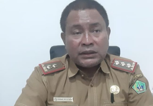 Dinas Perkebunan Kolut Salurkan 1000 Bibit Kakao di Sejumlah Koptan