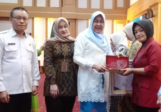 17 Perempuan Berjasa dan Berprestasi di Sultra Terima Penghargaan di Momentum Hari Kartini 2023