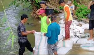 Kurangnya Perhatian Pemda Bombana, Masyarakat Adat Hukea Laea Bendung Aliran Sungai Secara Mandiri