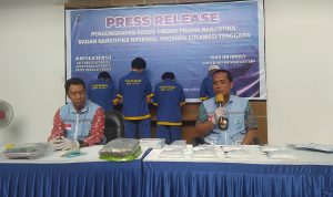 Ribuan Barang Bukti Sabu dan Ganja Berhasil Diamankan BNNP Sultra