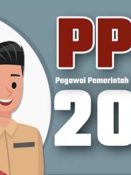 4503 Kuota PPPK Diterima Pemprov Sultra, Berikut Rinciannya