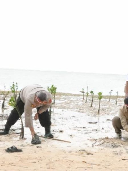 Polres Wakatobi Tanam Pohon Mangrove, Ini Maknanya