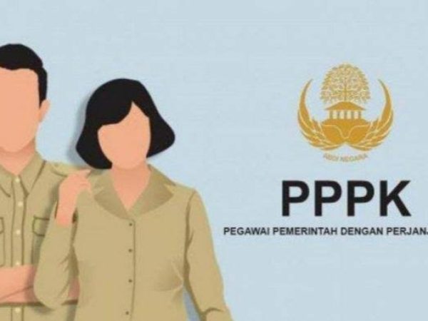 BKD Sultra Imbau Pelamar P3K Lengkapi Surat Keterangan Honor