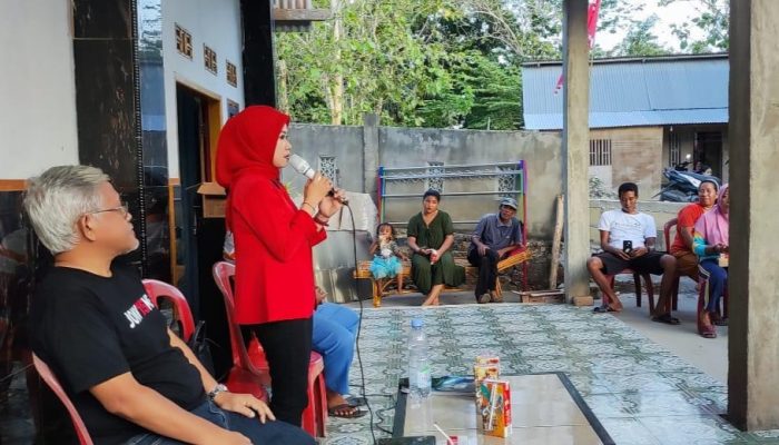 Kampanye di Kecamatan Lalonggasumeeto, Heny Paparkan Tiga Program PSI