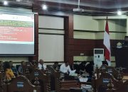 15 Temuan BPK di Pemprov Sultra