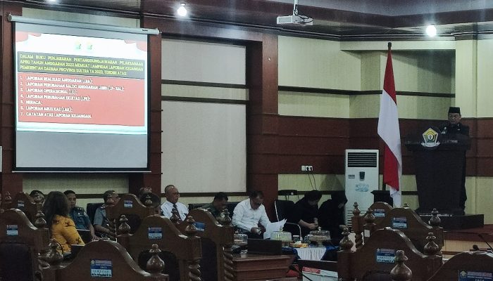 15 Temuan BPK di Pemprov Sultra