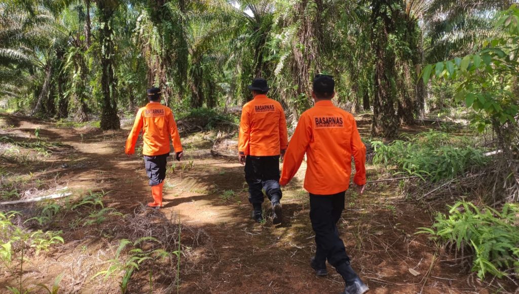 SAR Belum Temukan Warga yang Hilang di Hutan Kelapa Sawit Konut