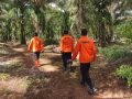 SAR Belum Temukan Warga yang Hilang di Hutan Kelapa Sawit Konut