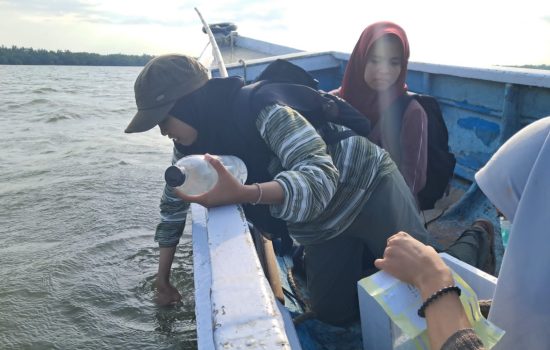 Logam Berat di Teluk Kendari
