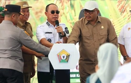 Gubernur Sultra Launching Desa Ketahanan Pangan di Konsel