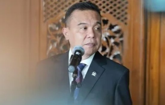 Sufmi Dasco Ahmad Bantah Dugaan Keterlibatan dalam Pusaran Tambang Nikel Ilegal PT TMS di Kabaena