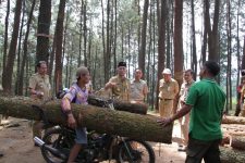Wakil Bupati Jepara Dian Kristiandi, S.Sos saat melakukan peninjauan titik lokasi pembenahan infrastruktur jalan dalam rangka mendukung kepariwisataan di Jepara. FOTO ; DSW