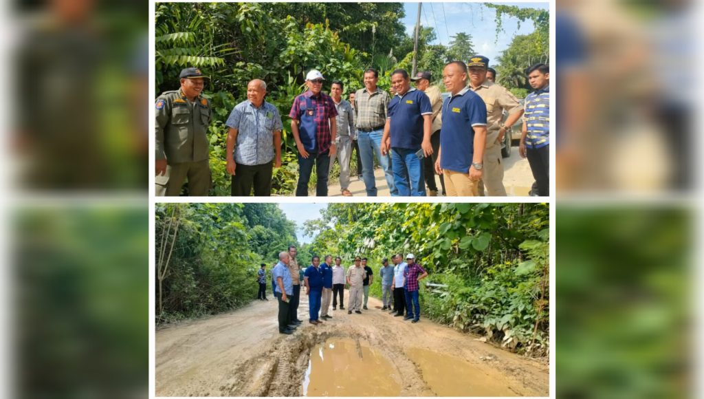 Tinjau Lokasi Perbaikan Jalan, Bupati Butur: Kewenangan Kami Sebatas Pemeliharaan