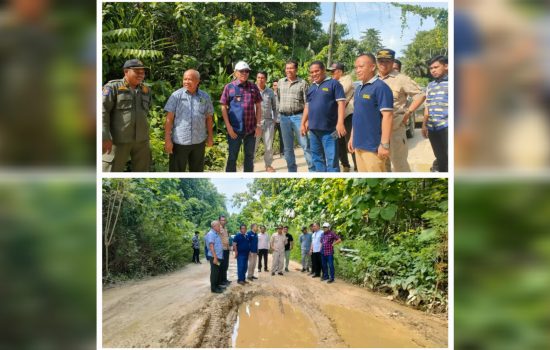 Tinjau Lokasi Perbaikan Jalan, Bupati Butur: Kewenangan Kami Sebatas Pemeliharaan