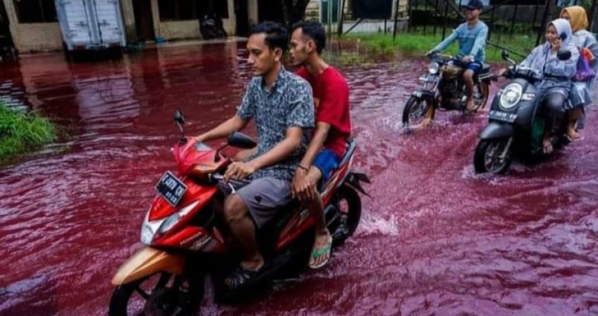 Warga Pekalongan Digegerkan dengan Banjir Berwarna Merah