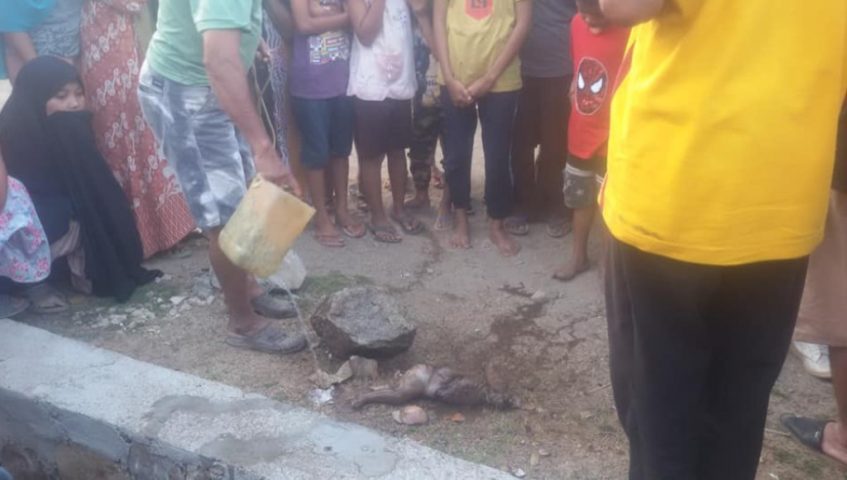Heboh, Jasad Bayi dengan Kondisi Mengenaskan Ditemukan Warga