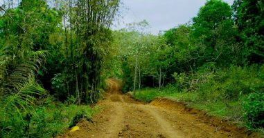 Pemda Muna Diduga Mengeksplorasi Hutan Lindung Warangga Tanpa Izin