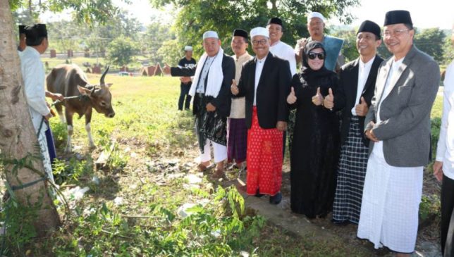 Idul Adha 1439 H, Pemda Konsel Kurban Ratusan Ekor Sapi dan Kambing